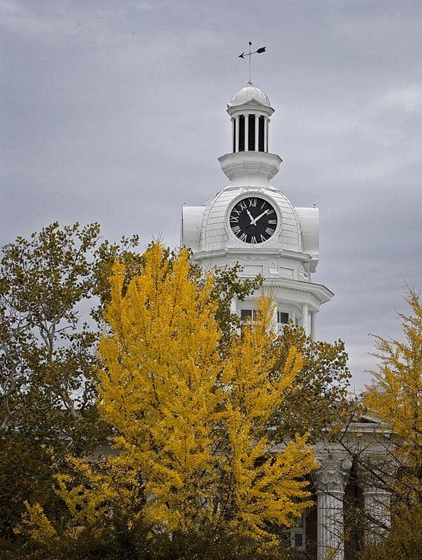 Tamron 70-300mm f/4.5-6.3 Di III RXD Lens for Nikon Z - Image 19